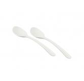 塑料勺子(2个装白色)